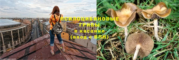 дурь Балахна