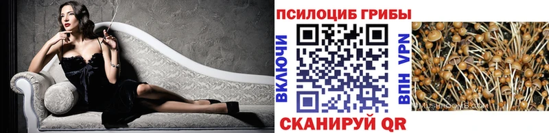 Псилоцибиновые грибы Magic Shrooms  omg зеркало  Красный Холм 